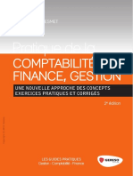Pratique de La Comptabilité - Finance - Gestion