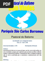 O Que é Batismo- - É o Sacramento Pelo Qual Renascemos Para a Vida Divina e Nos Tornamos Filhos de Deus. Sacramento Da Iniciação a Vida Cristã;