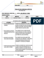 PLAN de TRABAJO Comisionado a Prefectura