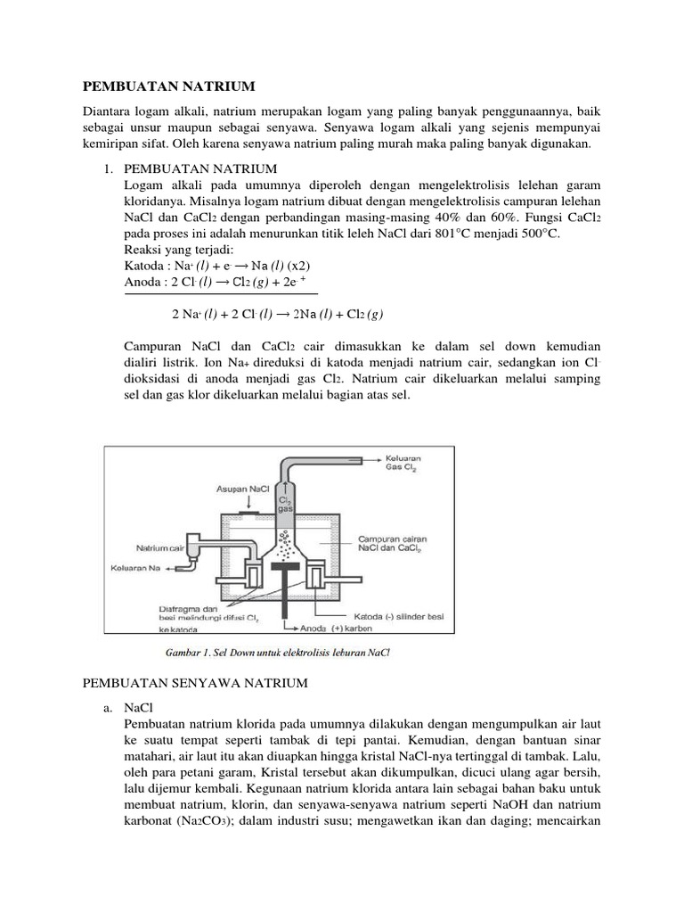 Pembuatan Natrium Pdf Memasak Makanan Anggur Teknologi Rekayasa