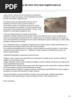 Bagaço_canaonline.com.Br-Comércio de Bagaço de Cana Virou Bom Negócio Para as Usinasvoltar