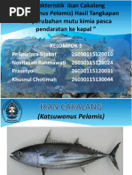 Download Karakteristik Ikan Cakalang Katsuwonus Pelamis by vita SN357553096 doc pdf