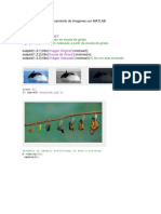 Acercamiento al Procesamiento de imagenes con MATLAB.docx