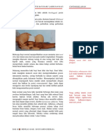 Positif Dan Uji Allis) - Gambar Di Bawah Menunjukkan Teknik Ini