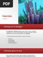 Biologia - Poríferos