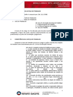 Aryanna Manfredini - Processo do trabalho.pdf