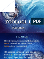 Zoologi 2