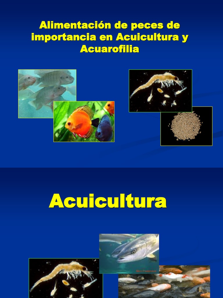 Alimentación de peces de importancia en