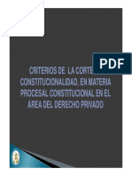 Criterios de la Corte en Materia Procesal Constitucional en el Área del Derecho Privado por Astrid Vega.pdf