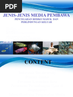 Download Media Pembawa  Potensi Resiko Pemasukan  dan Pengeluaran by Endro Aribowo SN35757166 doc pdf
