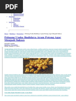 Teks Contoh Surat Keterangan Kerja Dalam Bahasa Inggris