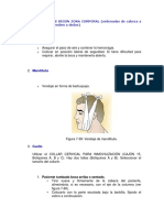 Inmovilizaciones Según Zona Corporal