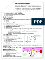 Firu Csir Notes