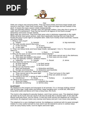 Descriptive Text Owl Owl Elephant