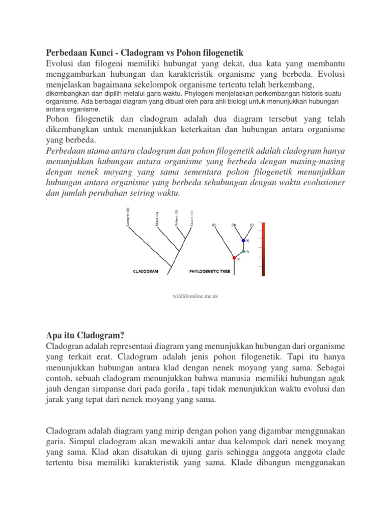 Perbedaan Kladogram Dan Filogeni | PDF