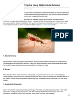 12 Bahaya Malaria Tropika Yang Wajib Anda Ketahui PDF