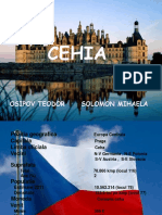 cehia 2007.pptx