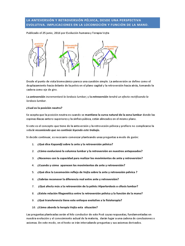 Anteversión y retroversión pélvica en evolución | PDF | Bipedalismo ...
