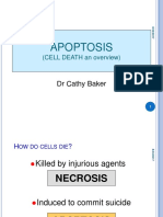 Apoptosis (Kuliah) 2012.ppt