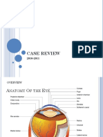 Case Review 2011