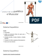 Sistema Esquelético Muscular 