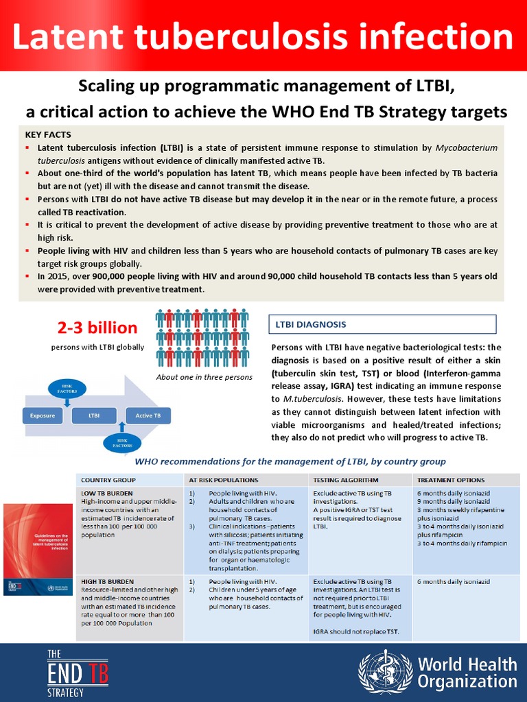 Ltbi Factsheet 25nov15 | PDF | Tuberculosis | Infection