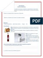 Guia Practico de Bacterias PDF