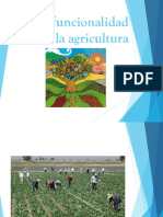 Multifuncionalidad agrícola y Nueva Ruralidad