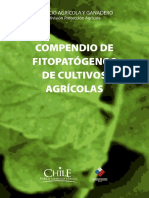 Compendio de Fitopatógenos de Cultivos Agrícolas