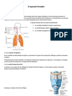 Aparato Fonador