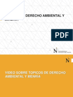 02 S Topicos de Derecho Ambiental y Mineria