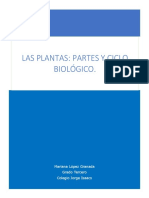 Proyecto Ciclo Biologico de Las Plantas