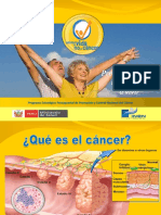 148672414-0-1-ROTAFOLIO-Prevencion-Del-Cancer.pdf