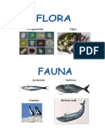 Floa y Fauna
