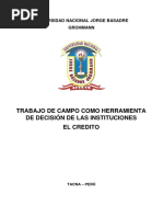 Trabajo de Campo de La Contabilidad Como Herramiento de Decisión de Las Instituciones