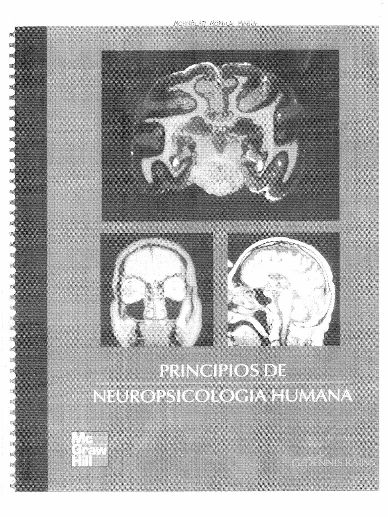 Principios de Neuropsicologia Humana | PDF