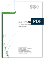 Ensayo Sustentabilidad_Eduardo Gómez.pdf
