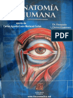 Fernando Quiroz PDF