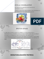 Congelación y microorganismos: efectos y especies resistentes