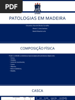 Patologias Em Madeira