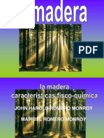 Presentacion La Madera