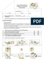 Prueba Del Libro Quiwi