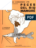 16.- Peces del rio mamore - Lauanne.pdf