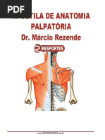 Apostila Origem e Inserção