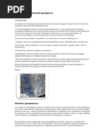 Métodos de exploración geológicos.docx