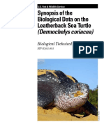 Dermochelys Coriacea PDF