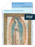 Novena Virgen de Guadalupe