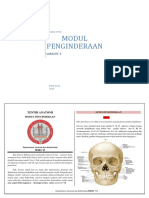 Tentir Penginderaan Sementaraa