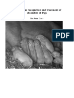 Diagnosis and Treatment of The Disorders of Pigs