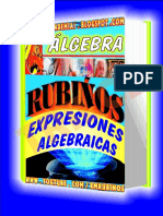 EXPRESIONES ALGEBRAICAS